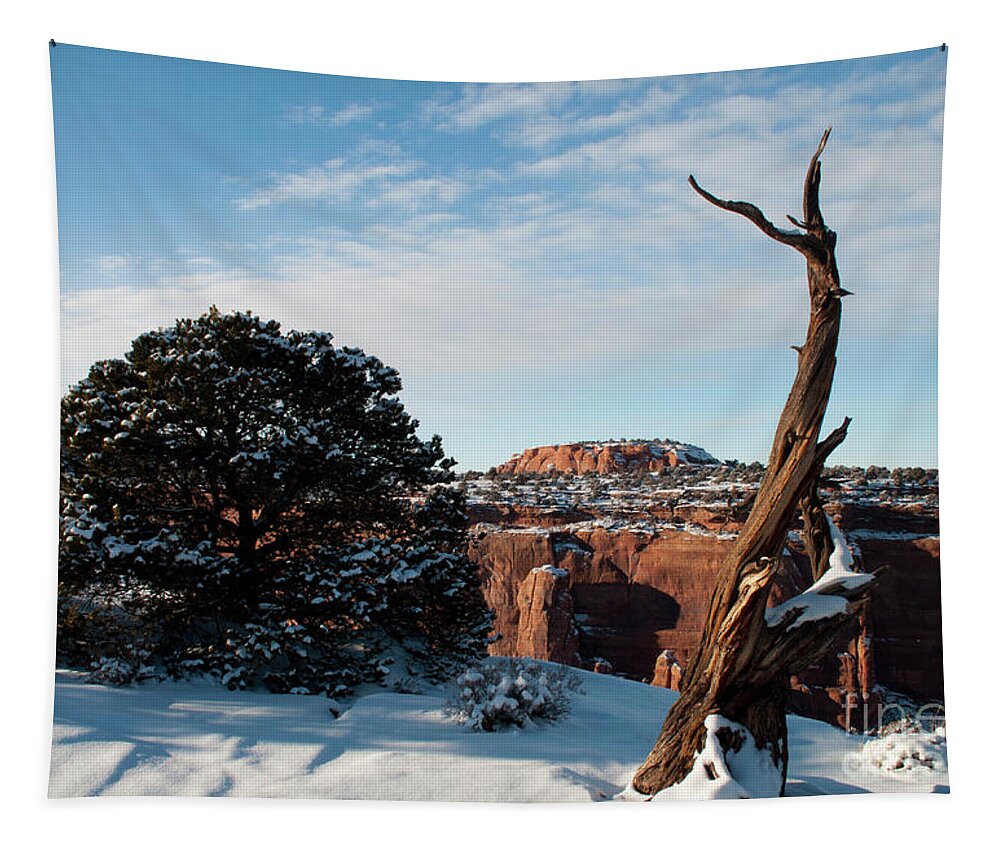 Colorado Tapestry featuring the photograph Rimrock View by Julia McHugh