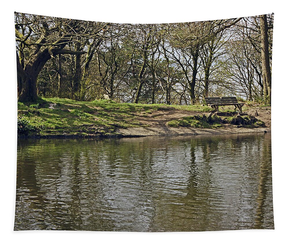 Rivington Tapestry featuring the photograph  RIVINGTON Japanese Pool Bench. by Lachlan Main