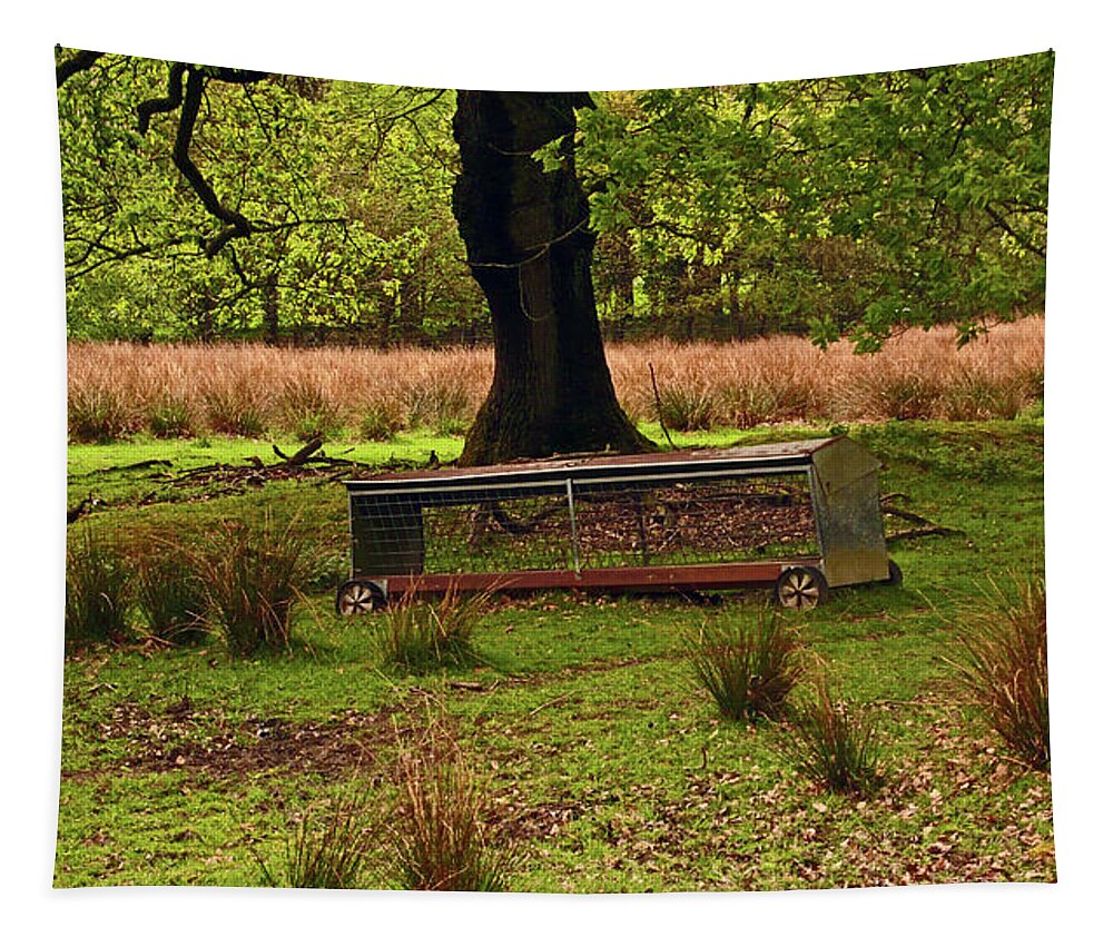 Rivington Tapestry featuring the photograph RIVINGTON. Terraced Gardens. Feeding Trough. by Lachlan Main