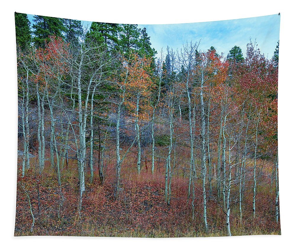 Outdoors Tapestry featuring the photograph Rocky Mountain Countryside by James BO Insogna