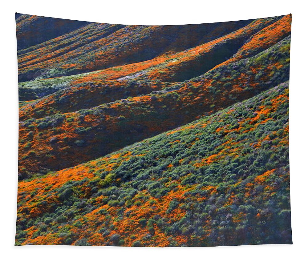 Poppies Tapestry featuring the photograph Rolling Hillsides Of Color by Glenn McCarthy Art and Photography