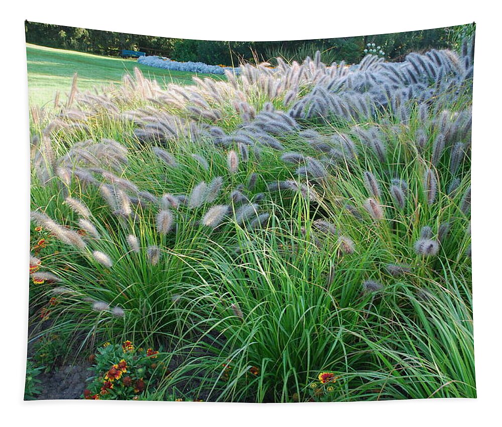 Outdoors Tapestry featuring the photograph Root Grass And Blanket Flowers by Ee Photography