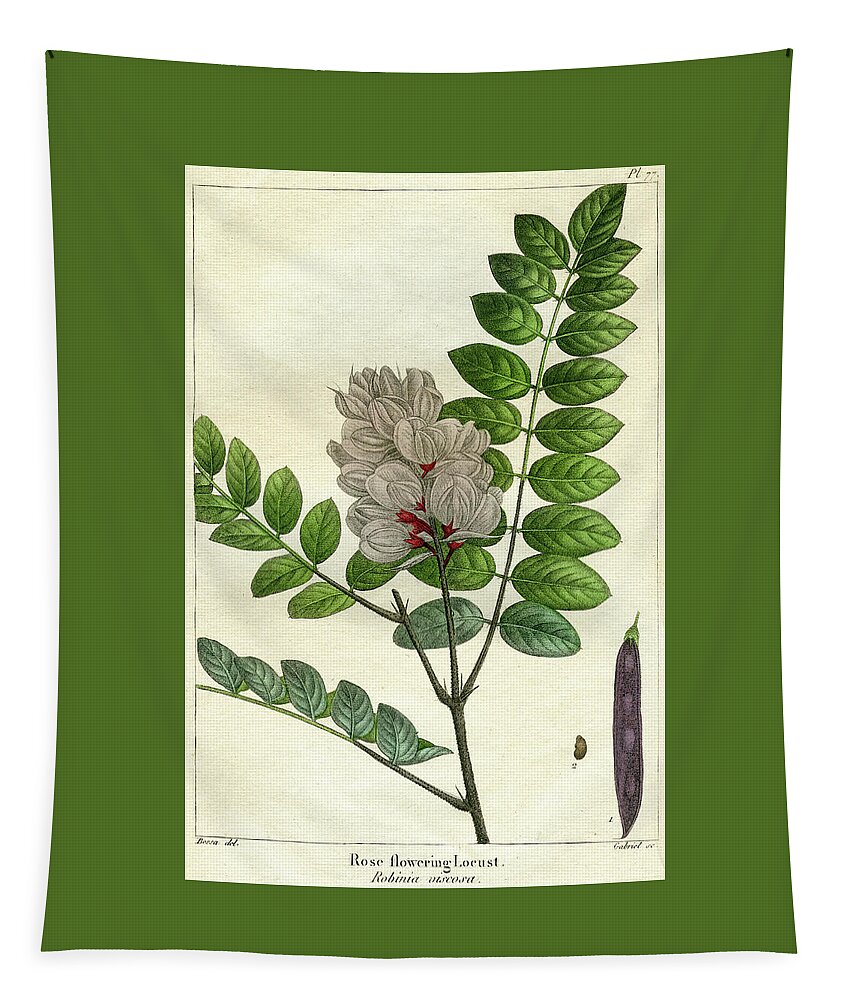 Rose Flowering Locust Tapestry featuring the mixed media Rose Flowering Locust by Unknown