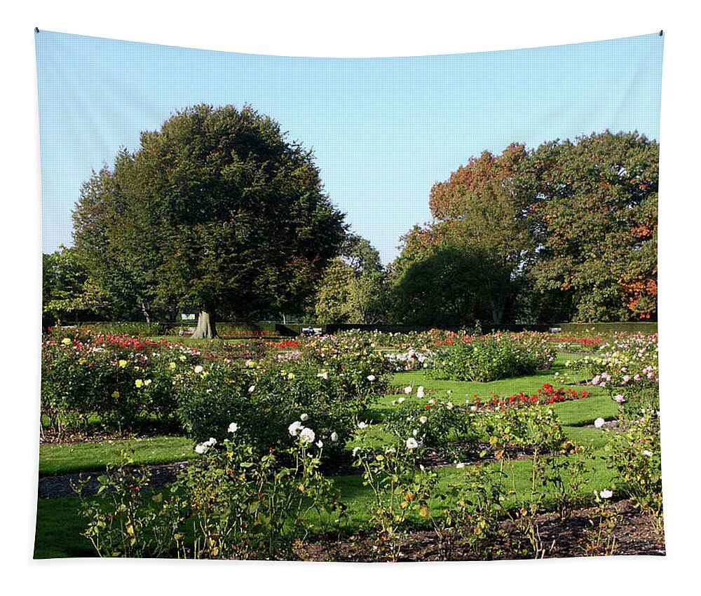 London Tapestry featuring the photograph Rose Garden At Greenwich Park, London by Aidan Moran