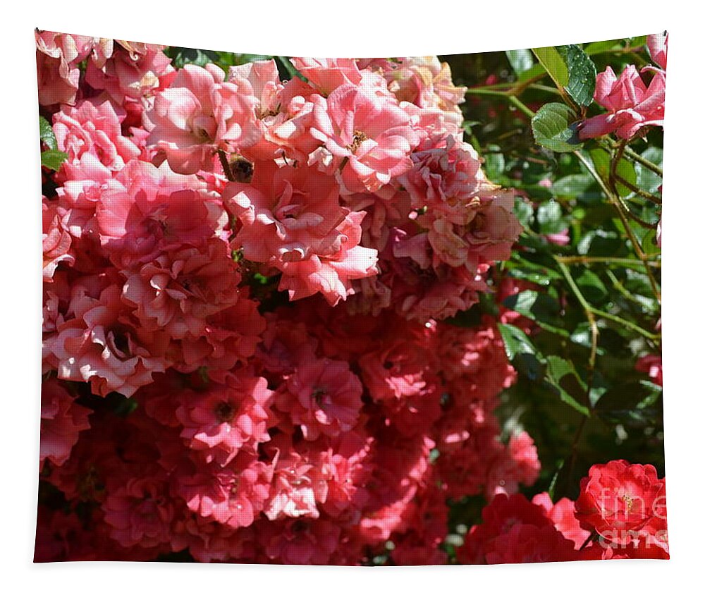 Roses Are Blooming Everywhere Tapestry featuring the photograph Roses Are Blooming Everywhere by Barbra Telfer