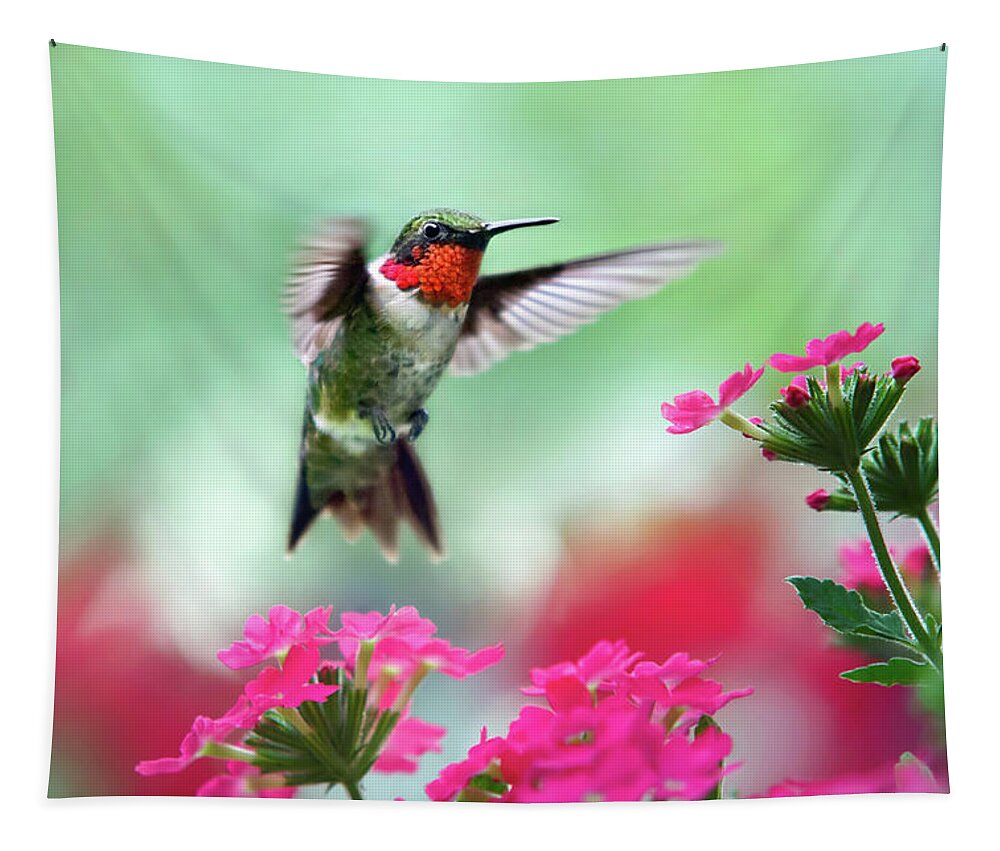 Hummingbird Tapestry featuring the photograph Ruby Garden Jewel by Christina Rollo