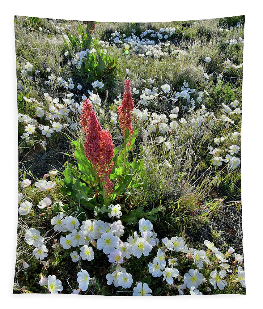 Ruby Mountain Tapestry featuring the photograph Ruby Mountain's Wildflower Prairie by Ray Mathis