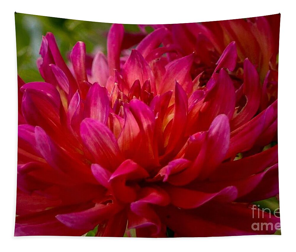 Dahlia Tapestry featuring the photograph Ruby Red Dahlia by Susan Rydberg