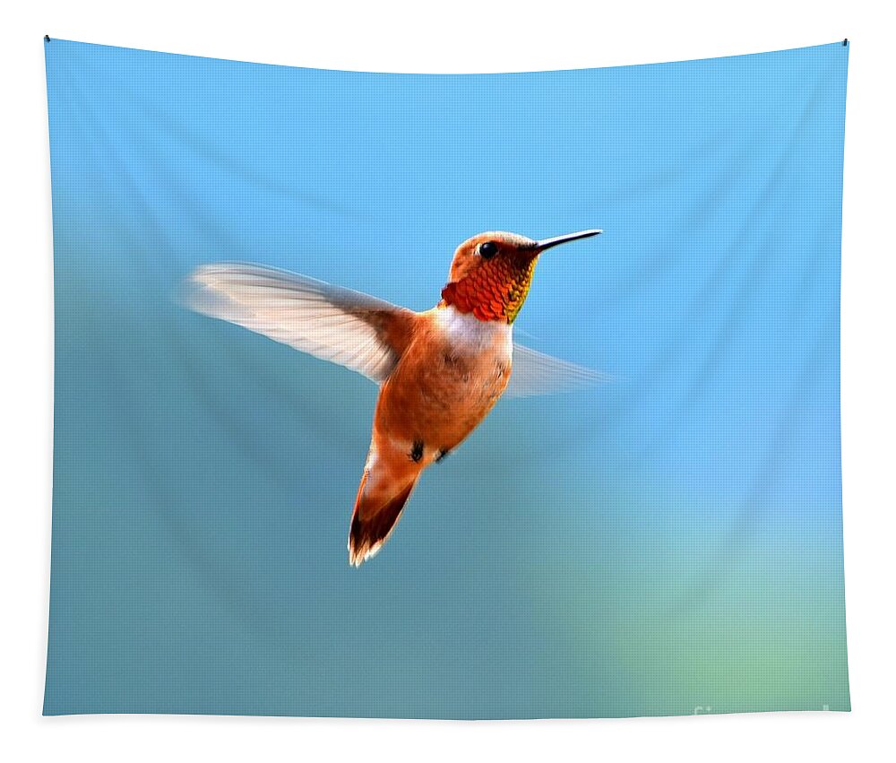 Hummingbird Tapestry featuring the photograph Rufous in Flight by Dorrene BrownButterfield