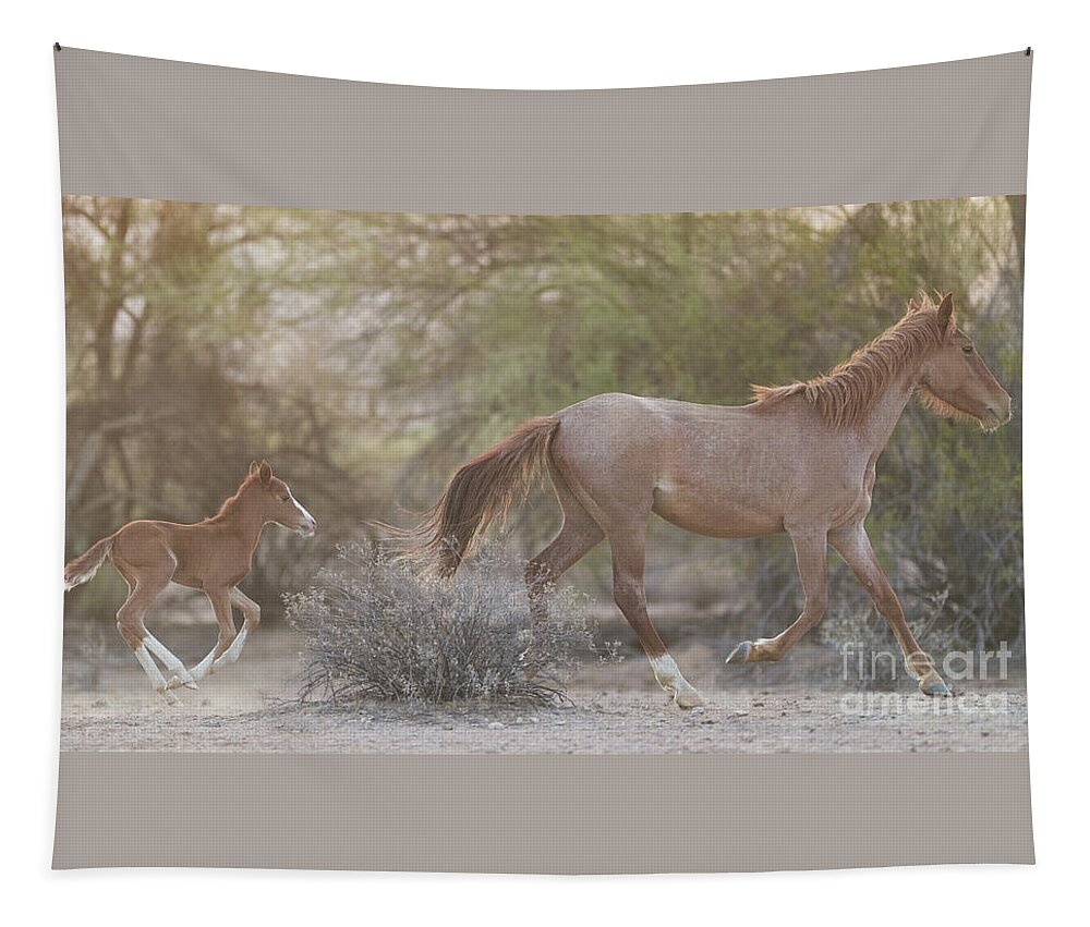 Foal Tapestry featuring the photograph Running by Shannon Hastings