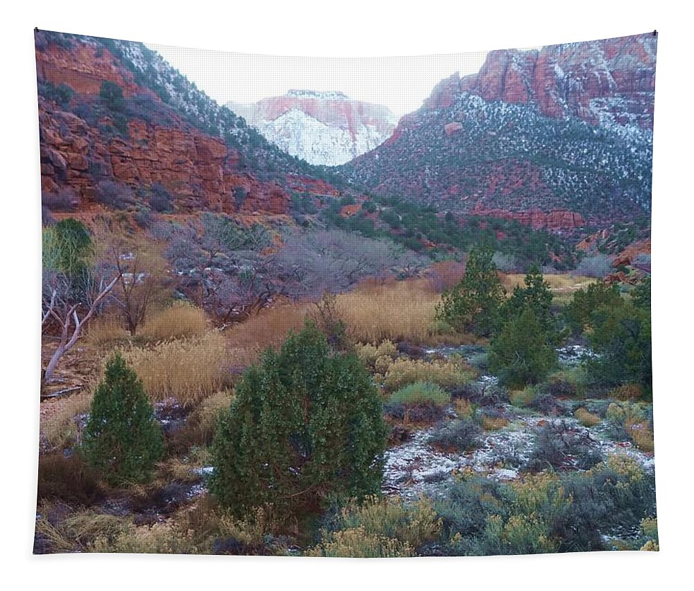 Zion Tapestry featuring the photograph Rushing Down by Fred Bailey