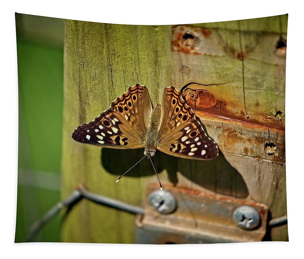 Wildlife Tapestry featuring the photograph Rustic Butterfly by John Benedict