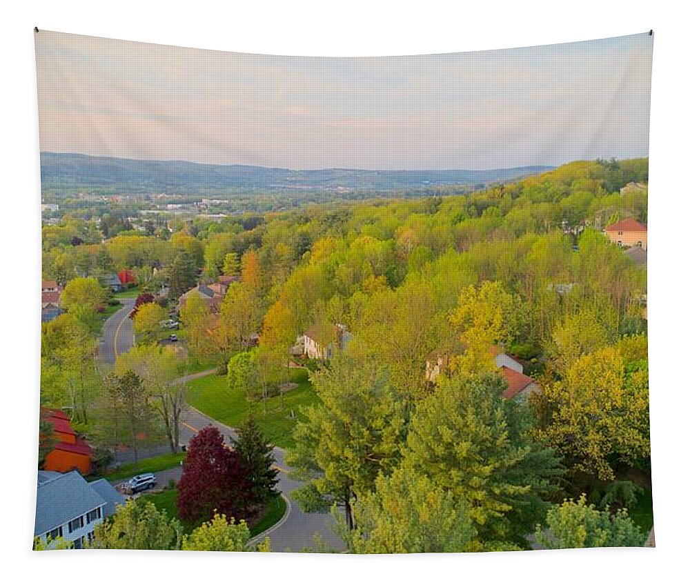 Spring Tapestry featuring the photograph S P R I N G by Anthony Giammarino