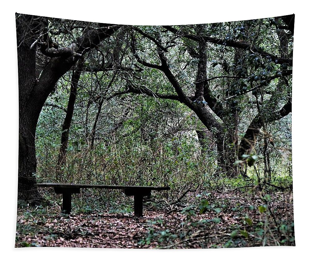 Nature Tapestry featuring the photograph Sabine Woods by Jerry Connally
