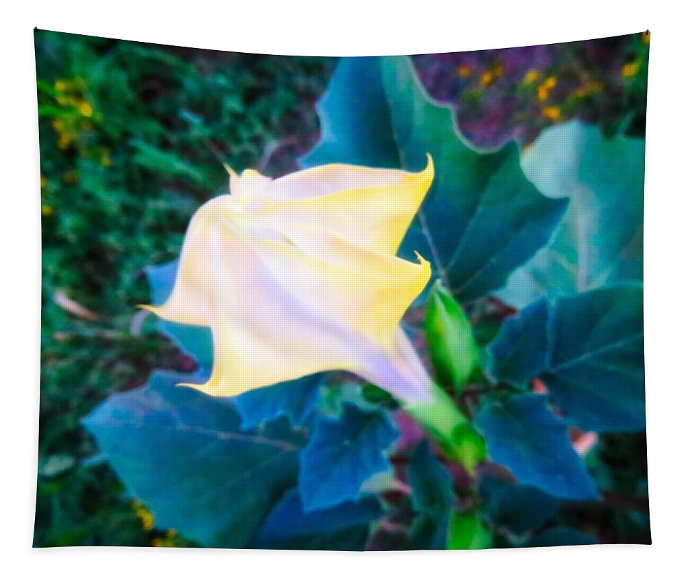 Arizona Tapestry featuring the photograph Sacred Datura - Partial Bloom by Judy Kennedy