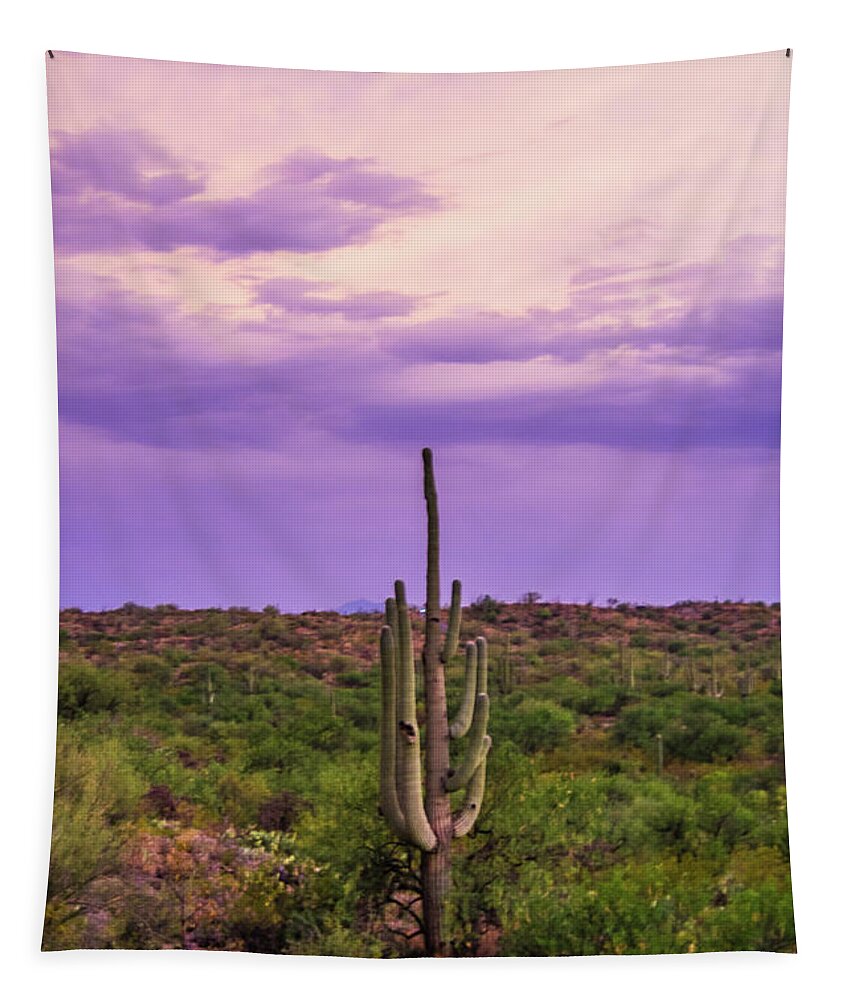 Saguaro Tapestry featuring the photograph Saguaro at Dusk by Melisa Elliott