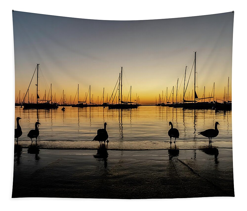 Geese Tapestry featuring the photograph Sailboats and Geese in a Chicago Harbor one beautiful morning by Sven Brogren