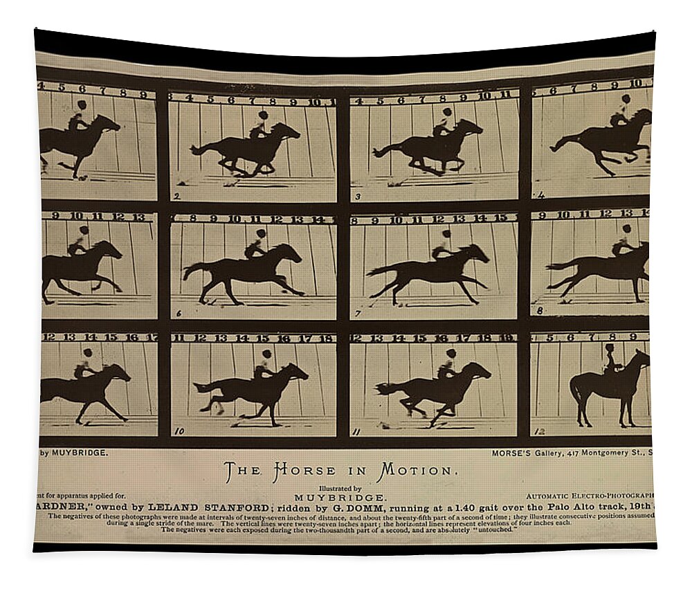 Sallie　Richard　Gardner　Website　at　Richard　Motion　in　a　Gallop　Horse　Artist　Tapestry　by　Reeve　Reeve