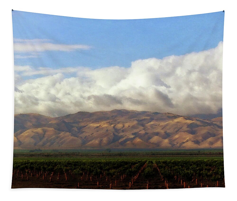 San Joaquin Valley Tapestry featuring the photograph San Joaquin Valley Ag Field 1 by Timothy Bulone