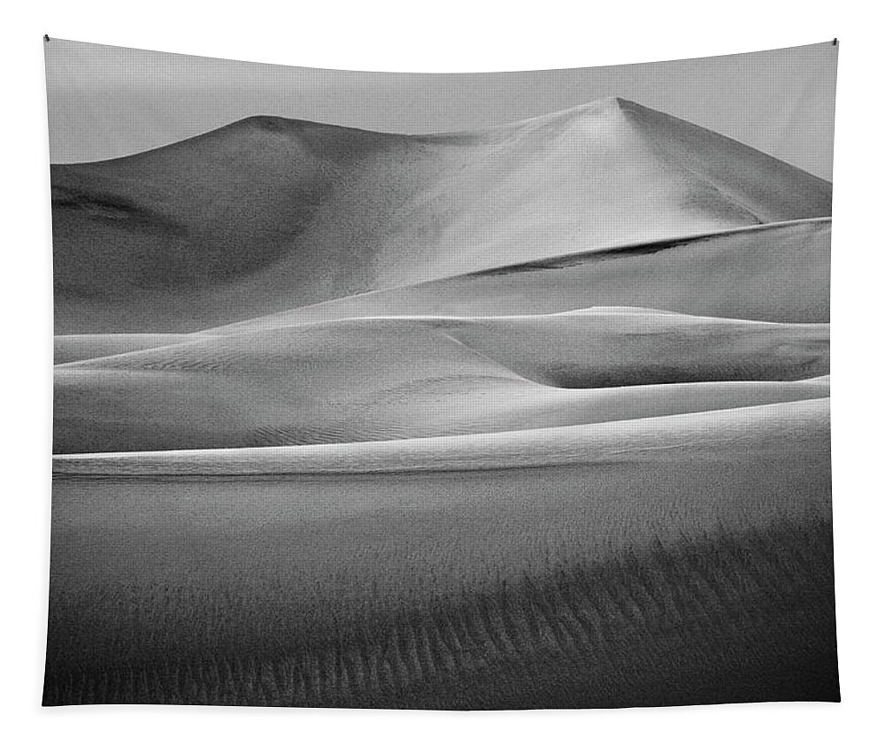 Sand Dunes Tapestry featuring the photograph Sand Dune #5 by Neil Pankler