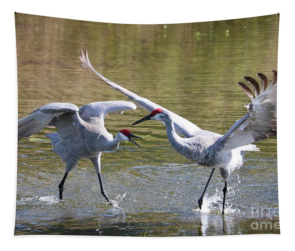 Sandhill Crane Tapestry featuring the photograph Sandhills with Attitude by Carol Groenen