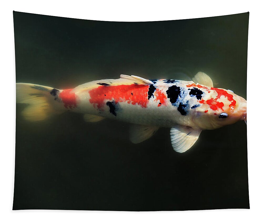 Japanese Garden Tapestry featuring the photograph Sanke Koi by Briand Sanderson