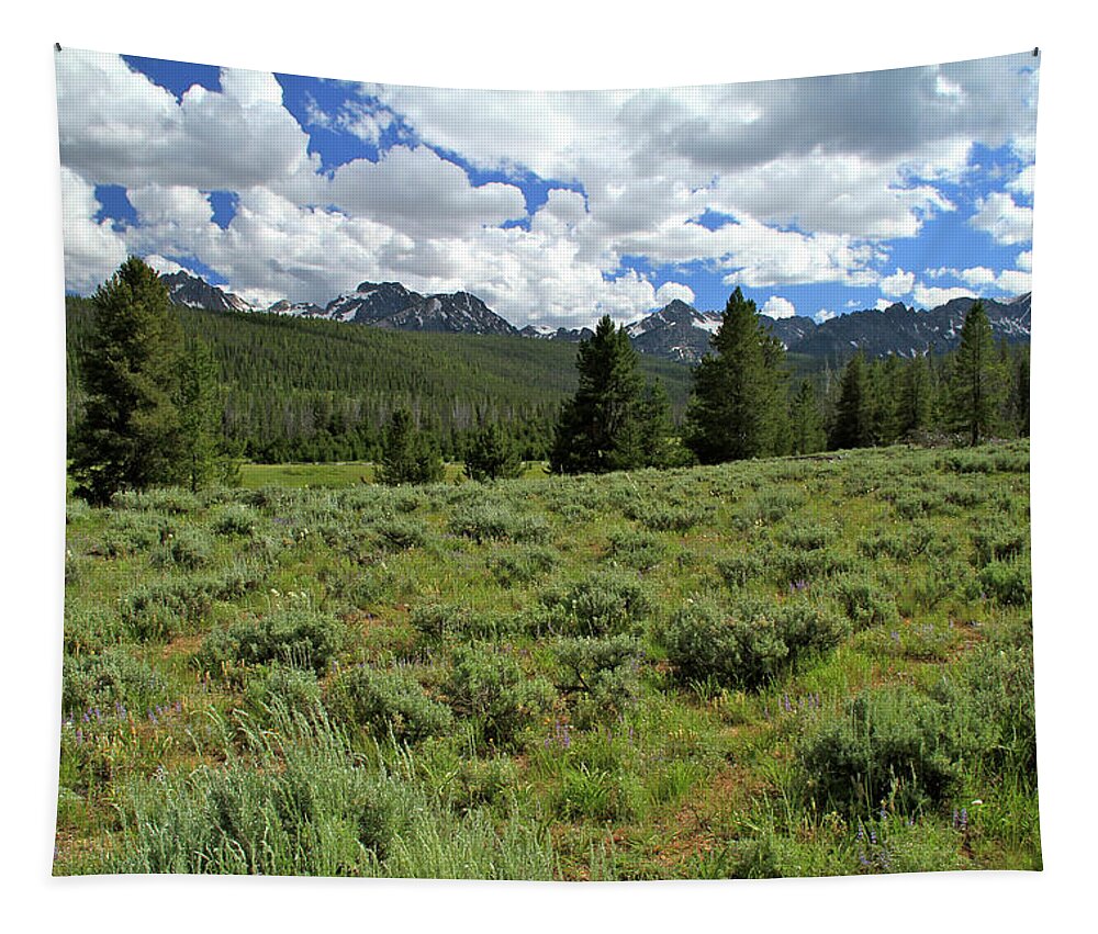 Sawtooth Range Tapestry featuring the photograph Sawtooth Range Crooked Creek by Ed Riche