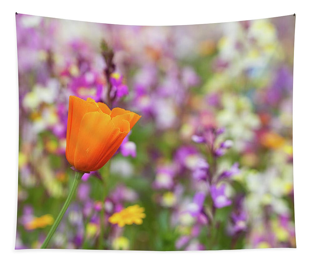 Poppy Tapestry featuring the photograph Say it's Spring by Vanessa Thomas