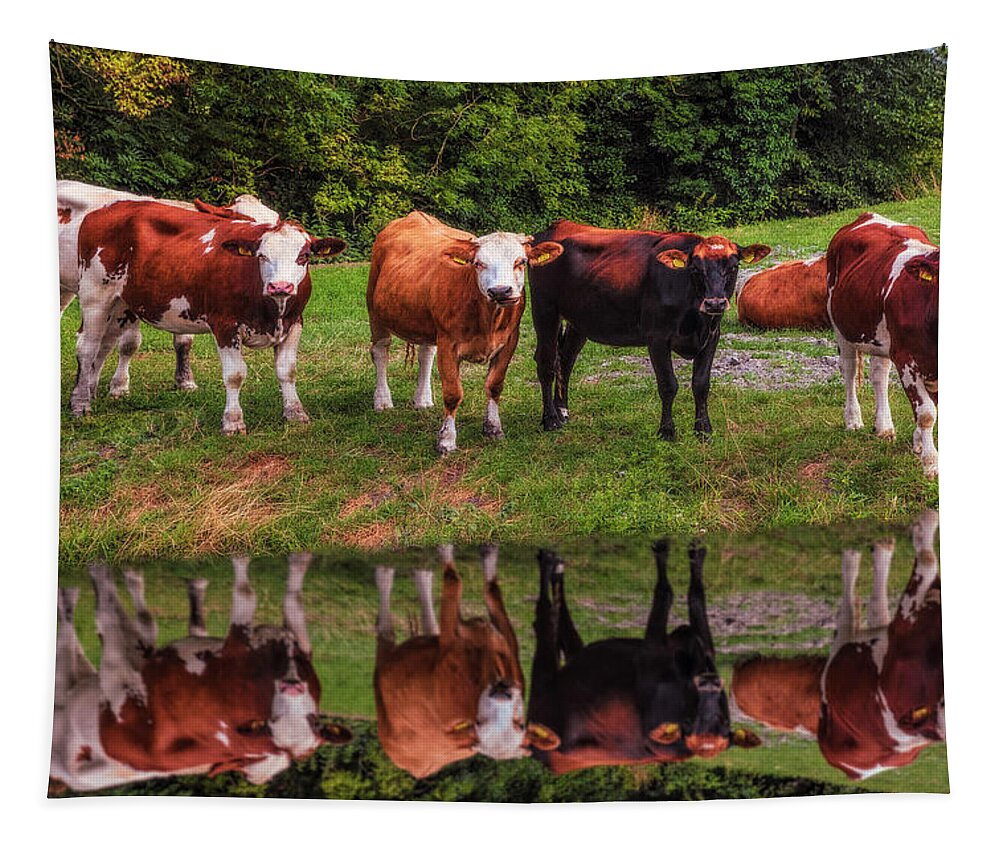Animals Tapestry featuring the photograph Saying Hello in the Morning Sun by Debra and Dave Vanderlaan