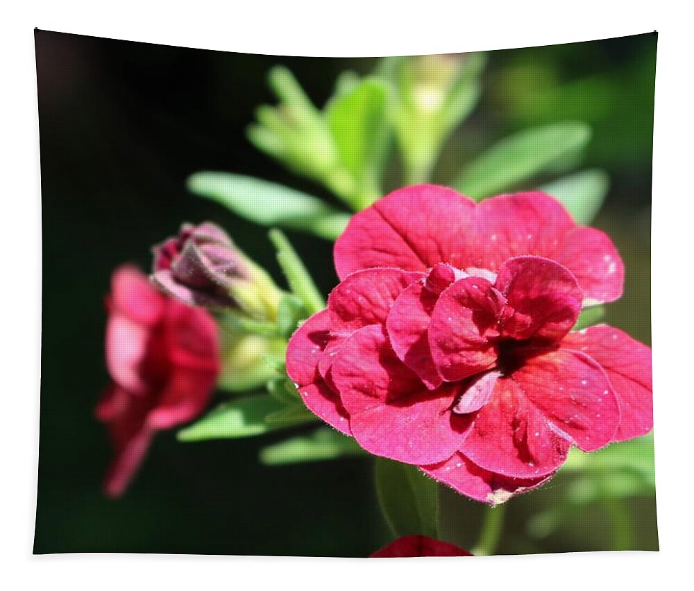 Geranium Tapestry featuring the photograph Scarlet Geranium in Cape May by Christopher Lotito