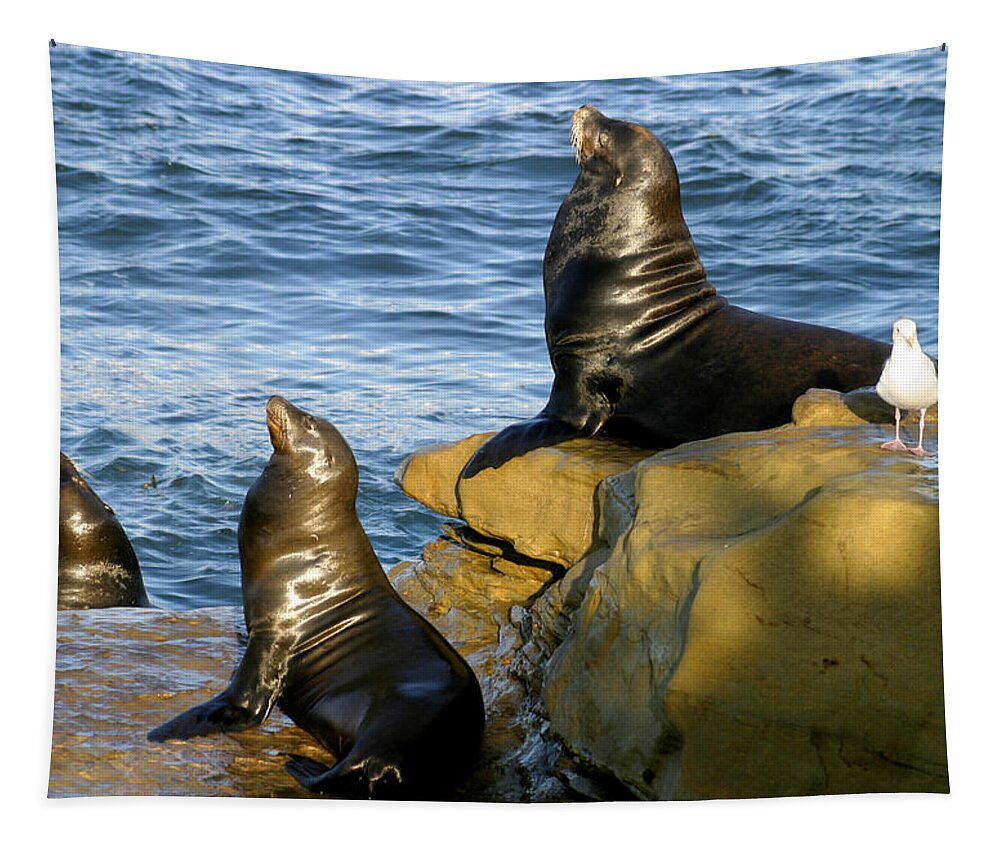 Sea Lions Tapestry featuring the photograph Sea Lion Rock by Anthony Jones