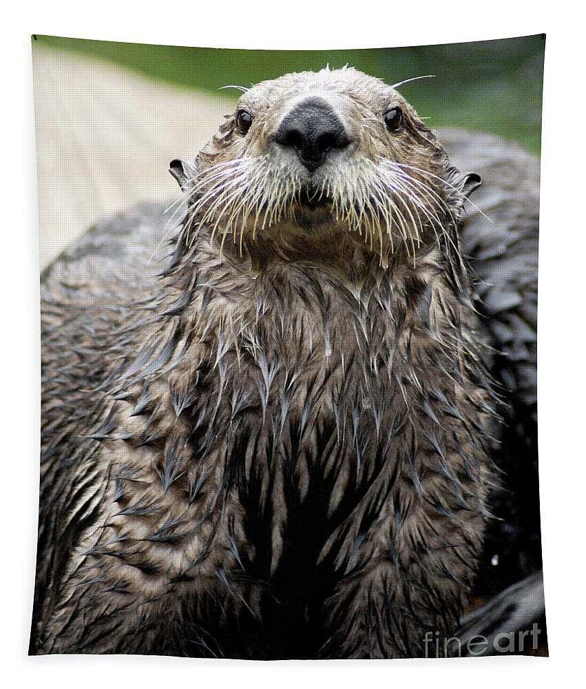 Denise Bruchman Tapestry featuring the photograph Sea Otter by Denise Bruchman