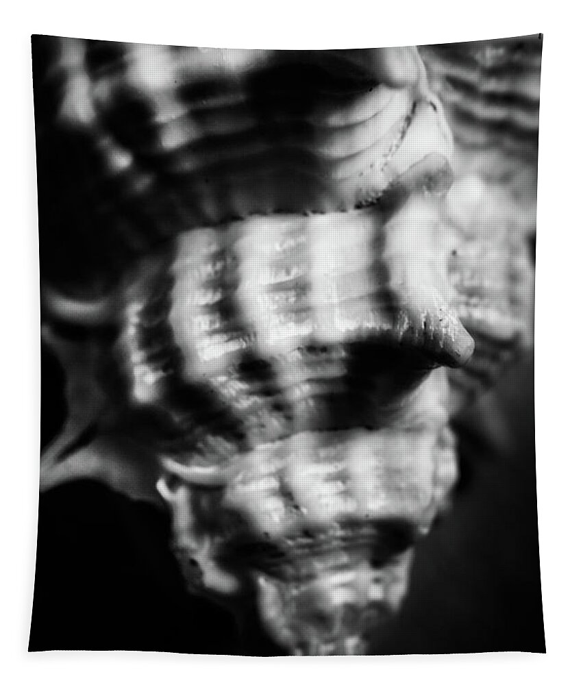Shell Tapestry featuring the photograph Sea Spiral by Jorgo Photography