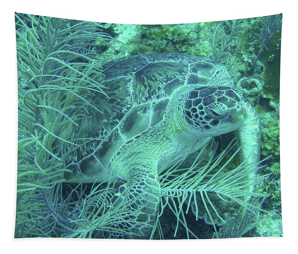 Sea Turtle Tapestry featuring the photograph Green Sea Turtle Underwater Wonders by Leslie Struxness