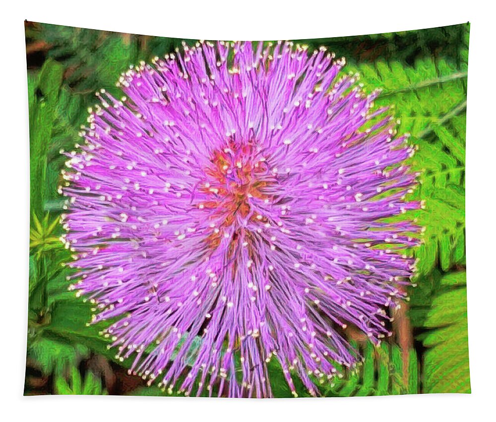 Touch-me-not Tapestry featuring the photograph Sensitive Plant - Mimosa pudica by Susan Hope Finley