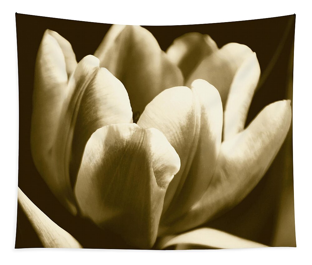 Contemporary Tapestry featuring the photograph Sepia Tulip I by Ren?e W. Stramel