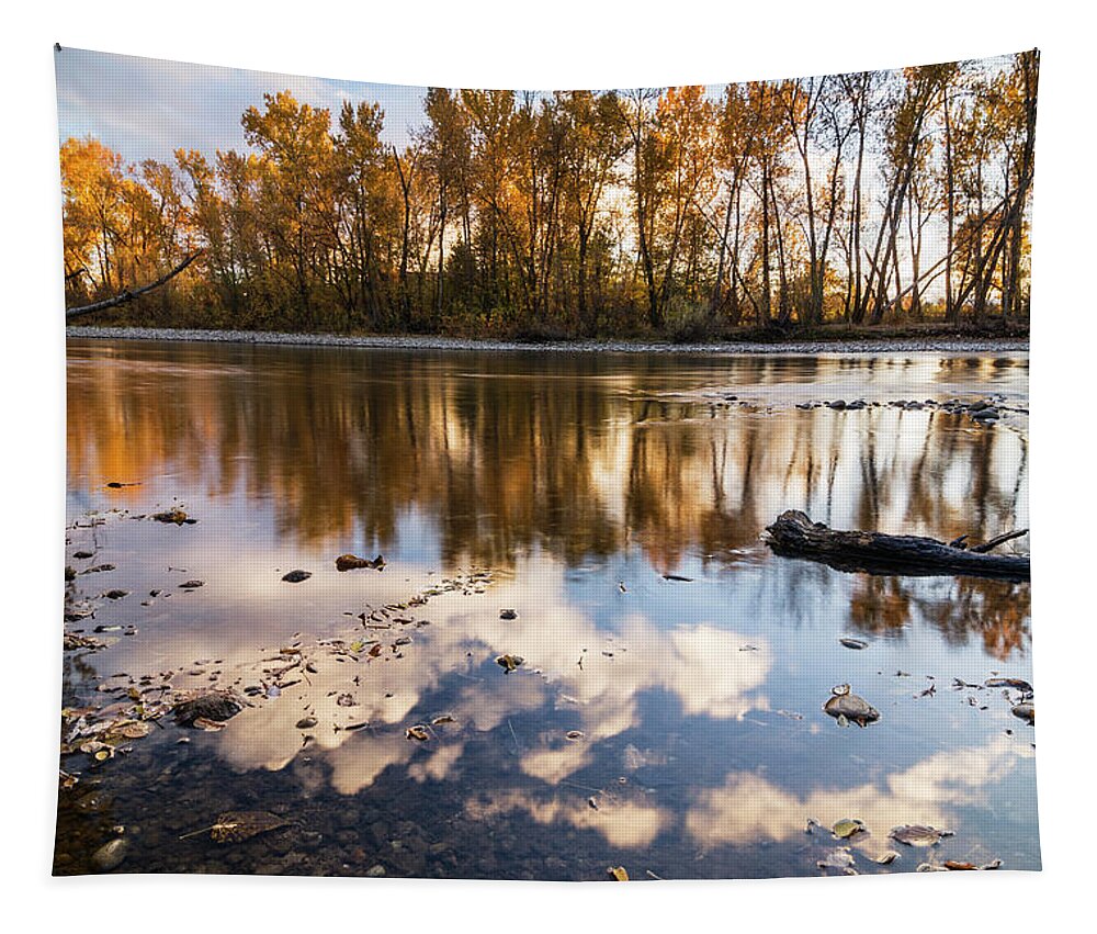 Boise River Tapestry featuring the photograph Serene autumn scene along Boise River by Vishwanath Bhat