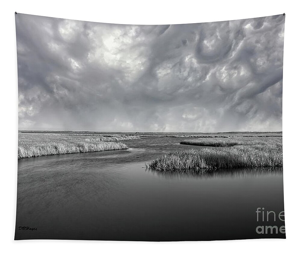 Landscape Tapestry featuring the photograph Serenity Before The Storm by DB Hayes