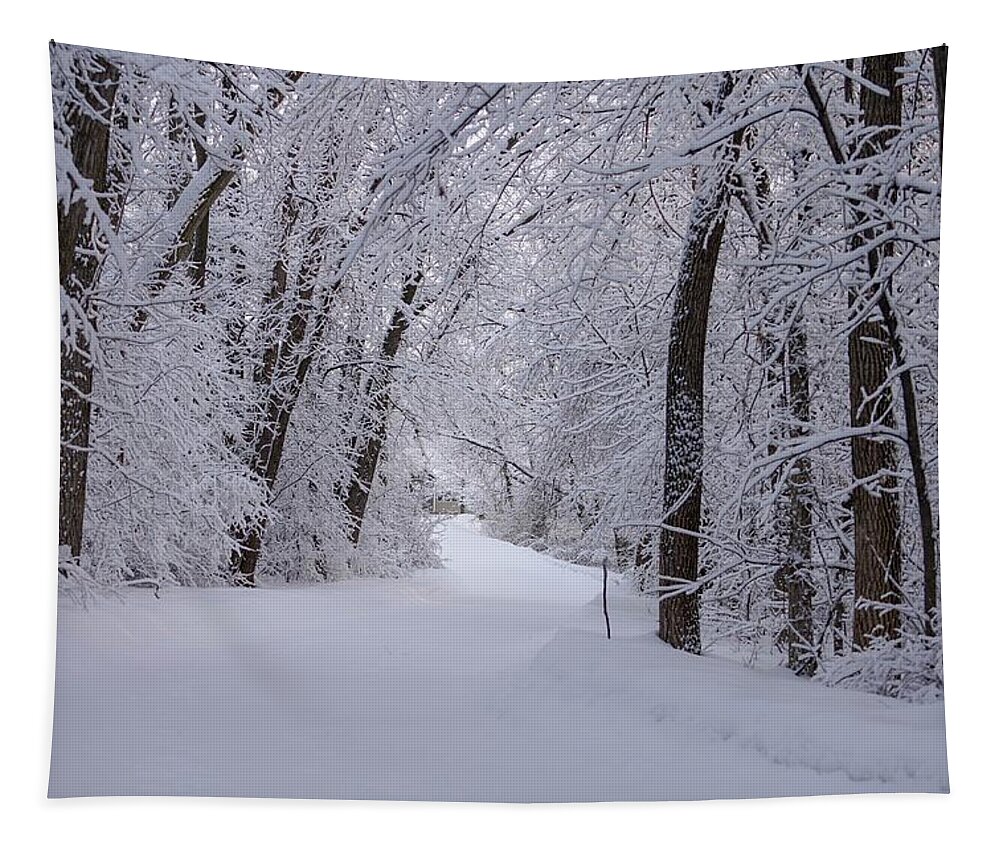 Winter Tapestry featuring the photograph Serenity II by Susan Rydberg