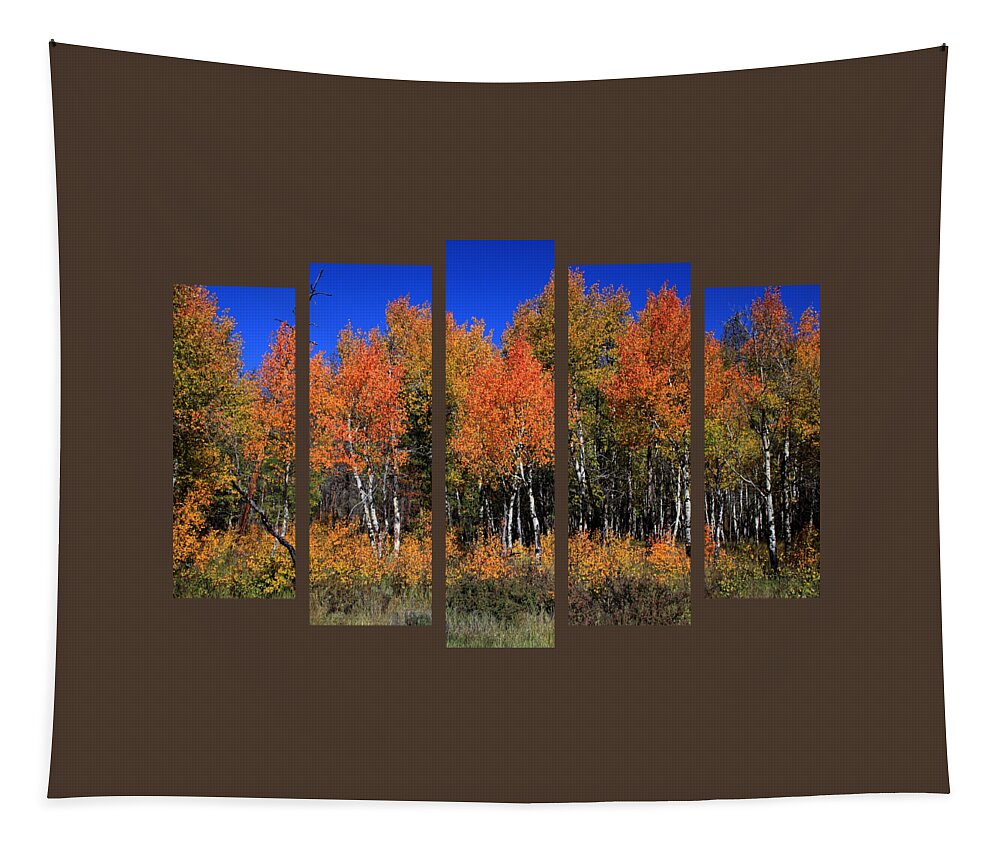 Set 53 Tapestry featuring the photograph Set 53 by Shane Bechler