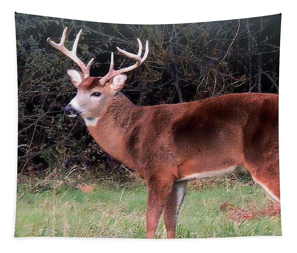 Deer Tapestry featuring the photograph Seven Points In Autumn by Tami Quigley