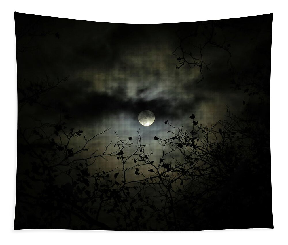 Night Sky Tapestry featuring the photograph Shadow Moon by Linda Stern