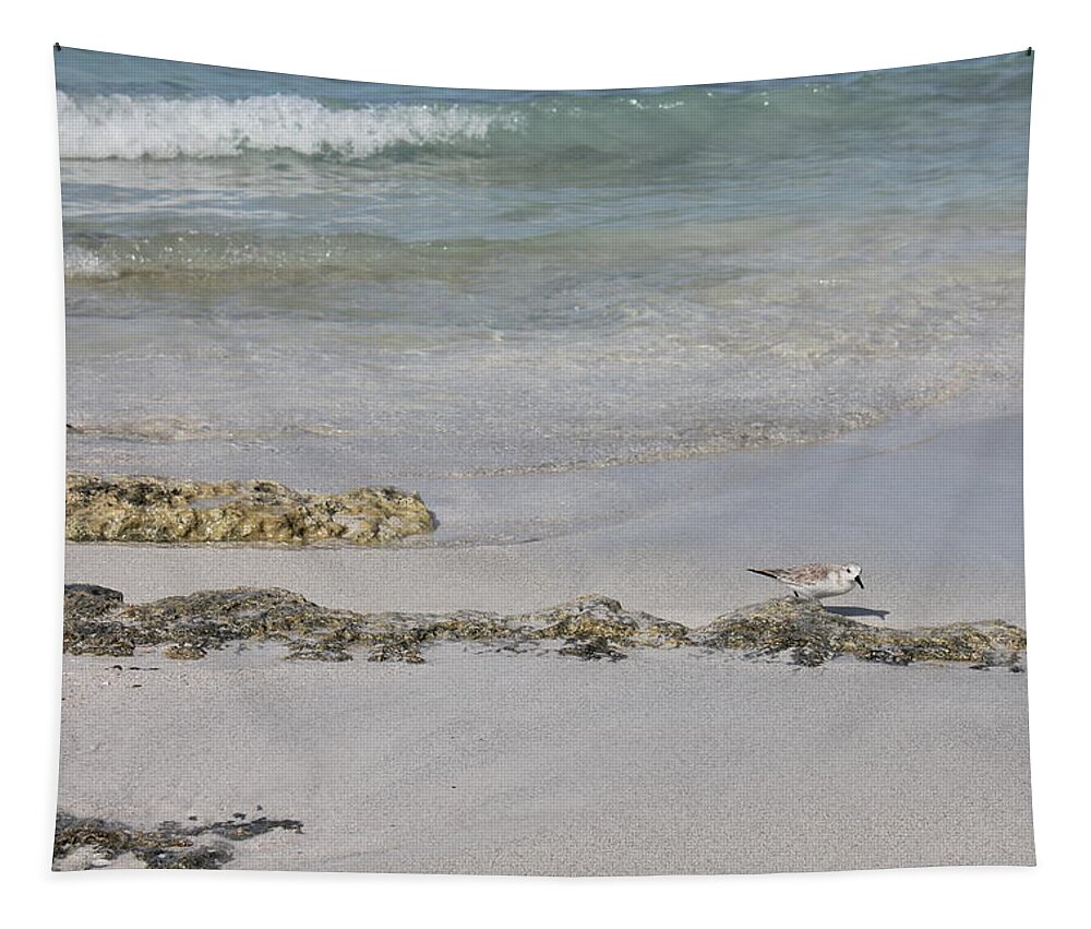 Shorebird Tapestry featuring the photograph Shorebird by Ruth Kamenev