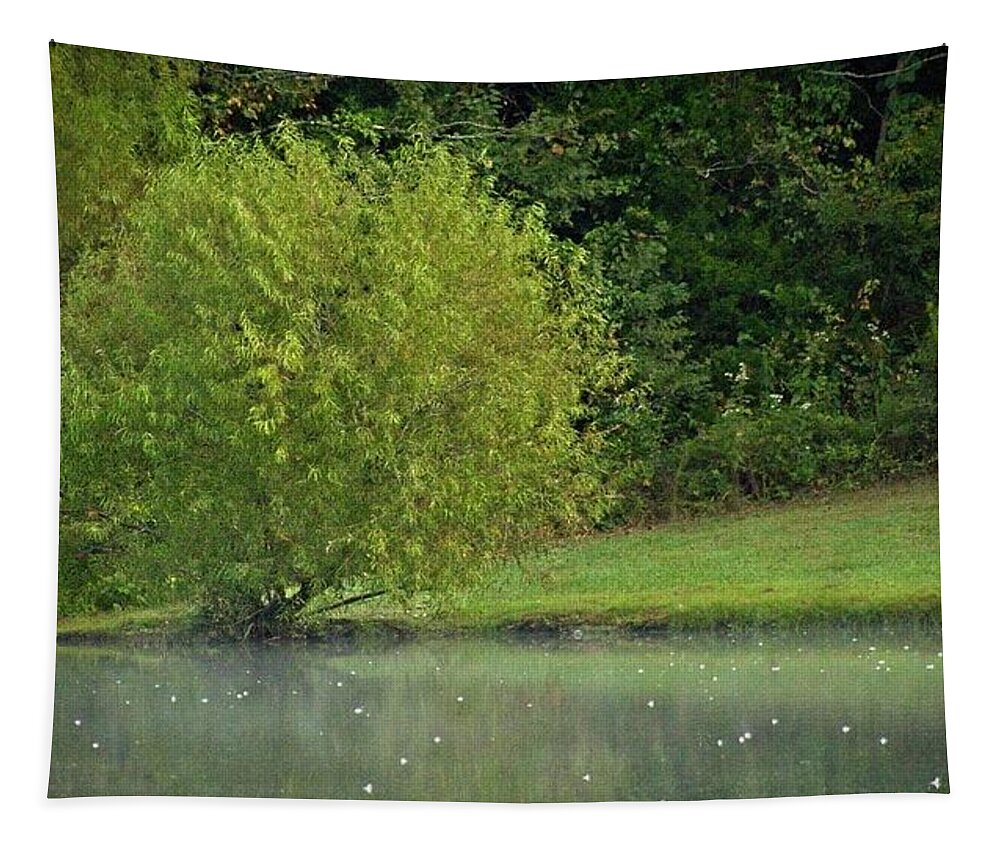 Landscapephotography Tapestry featuring the photograph Shoreline Tree by John Benedict