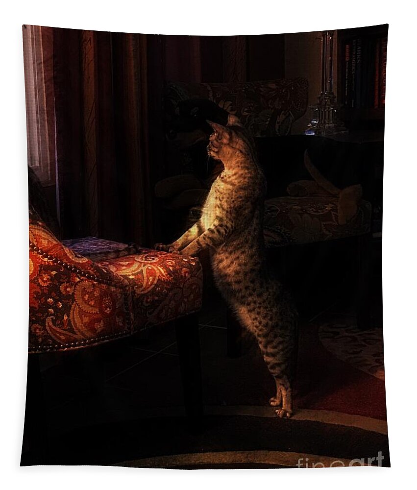 500 Views Tapestry featuring the photograph Showing Off His Pedigree by Jenny Revitz Soper