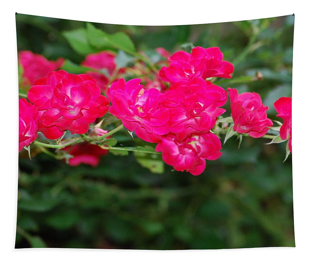 Flowers Tapestry featuring the photograph Shrub Roses by Ee Photography