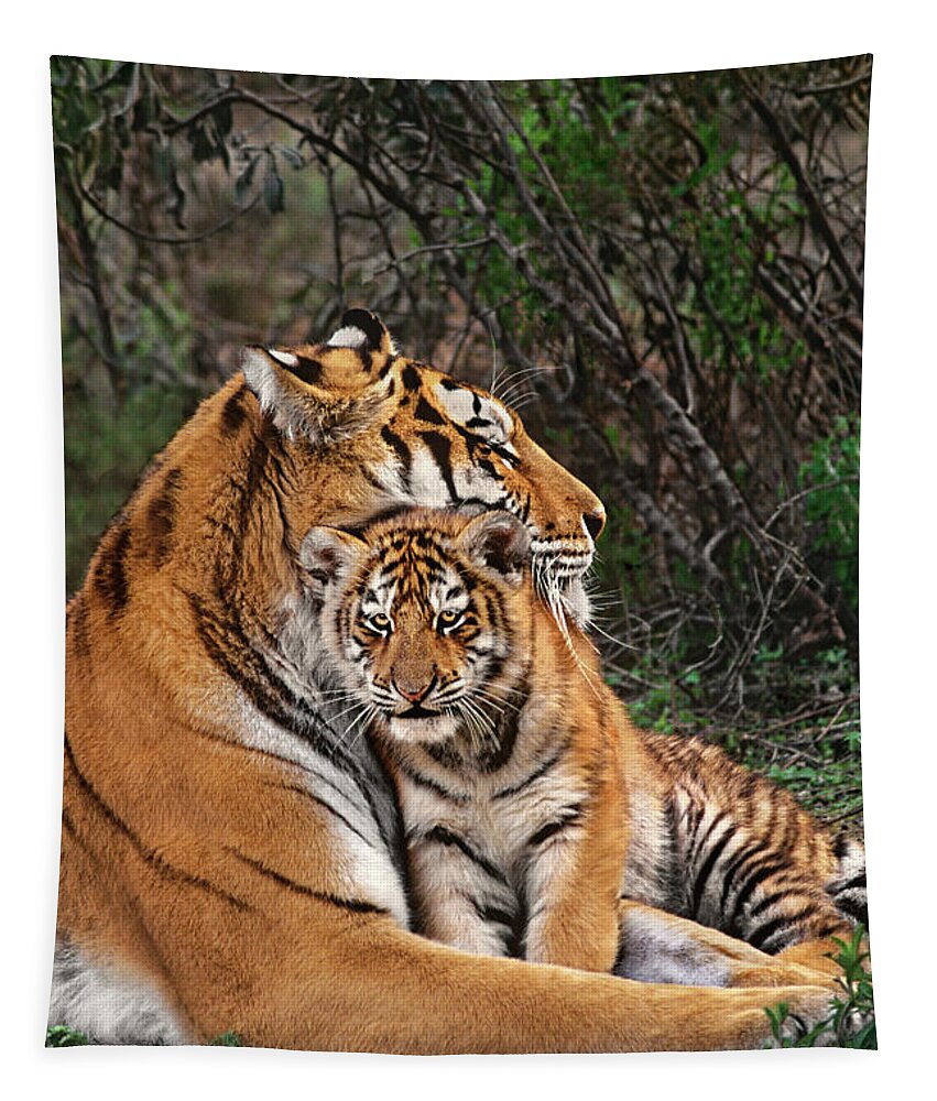 Siberian Tiger Tapestry featuring the photograph Siberian Tiger Mother and Cub Endangered Species Wildlife Rescue by Dave Welling