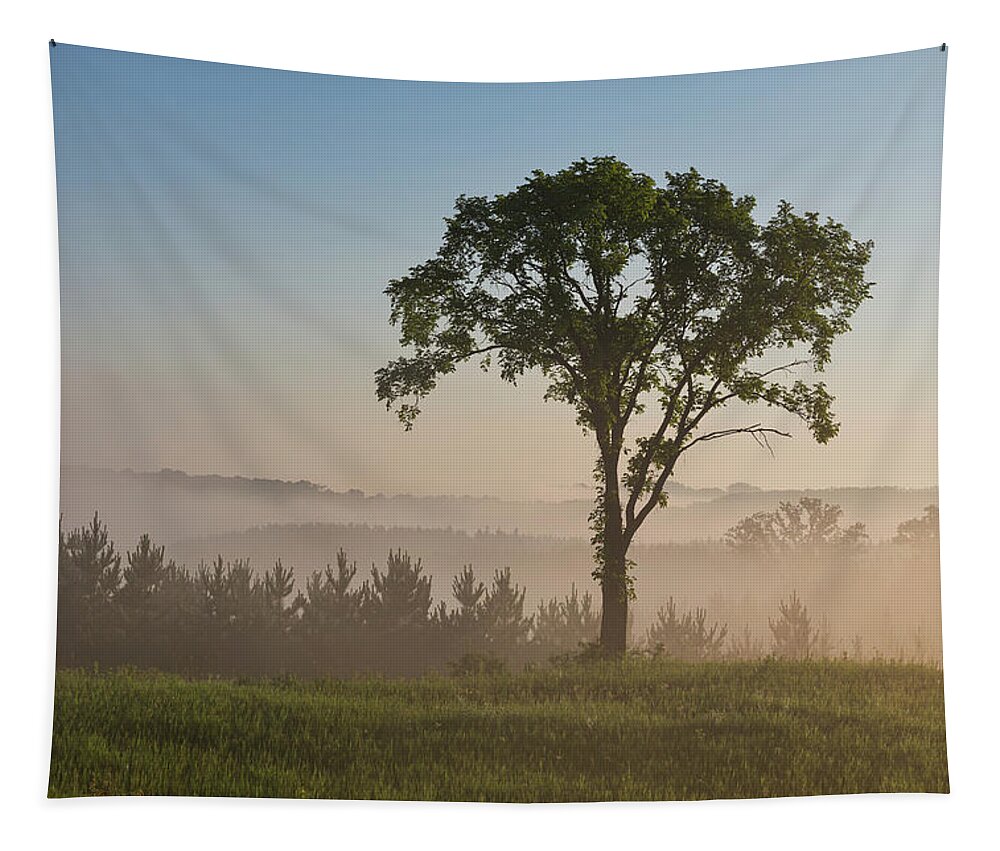 Fog Tapestry featuring the photograph Silence by Penny Meyers