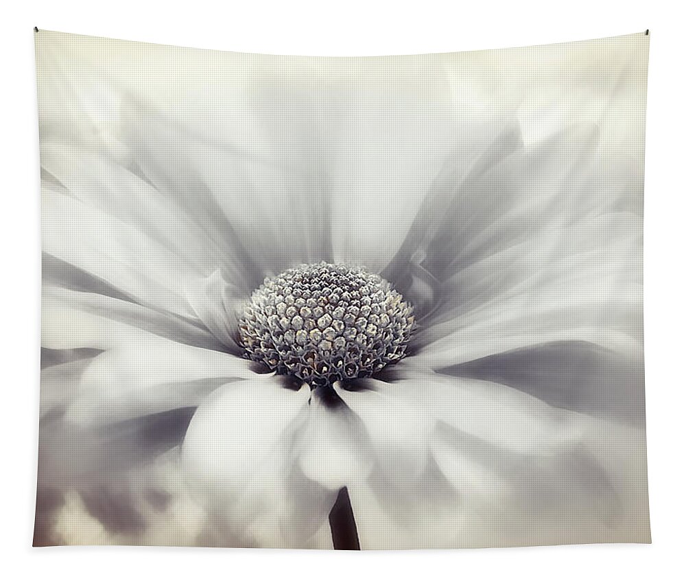 Nature Tapestry featuring the photograph Simplicity Series 4 Jubilee by Darlene Kwiatkowski