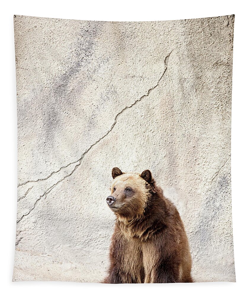 Bear Tapestry featuring the photograph Sitting Bear by Deborah Penland